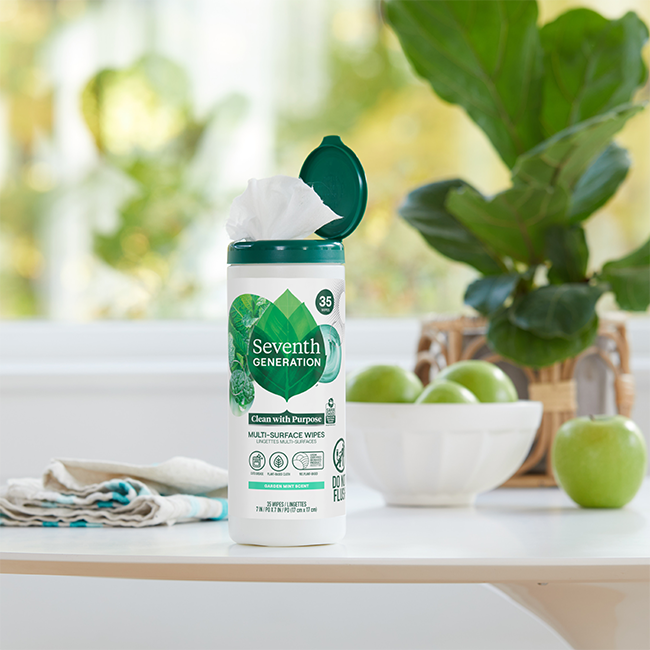 Plant-Based Multi-Surface Wipes with Garden Mint