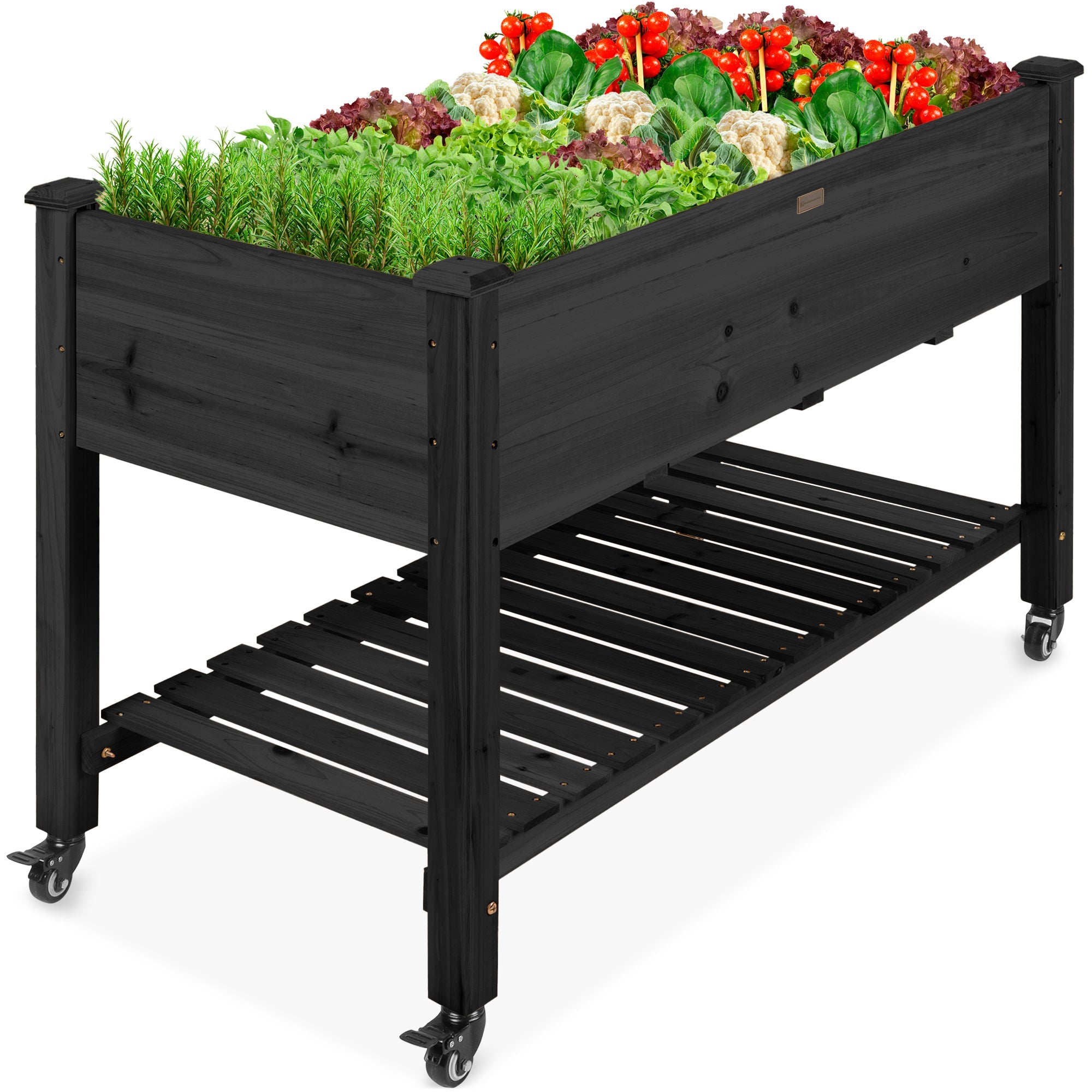 Mobile Raised Garden Bed Elevated Planter w/ Wheels Shelf - 48x24x32in