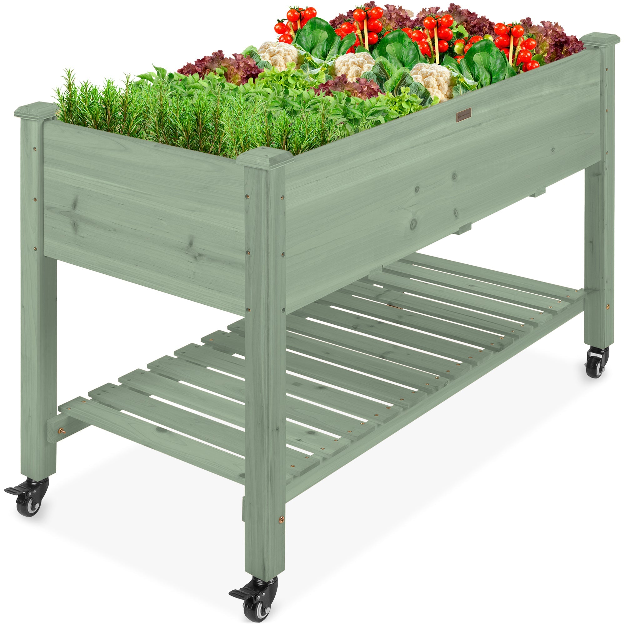 Mobile Raised Garden Bed Elevated Planter w/ Wheels Shelf - 48x24x32in