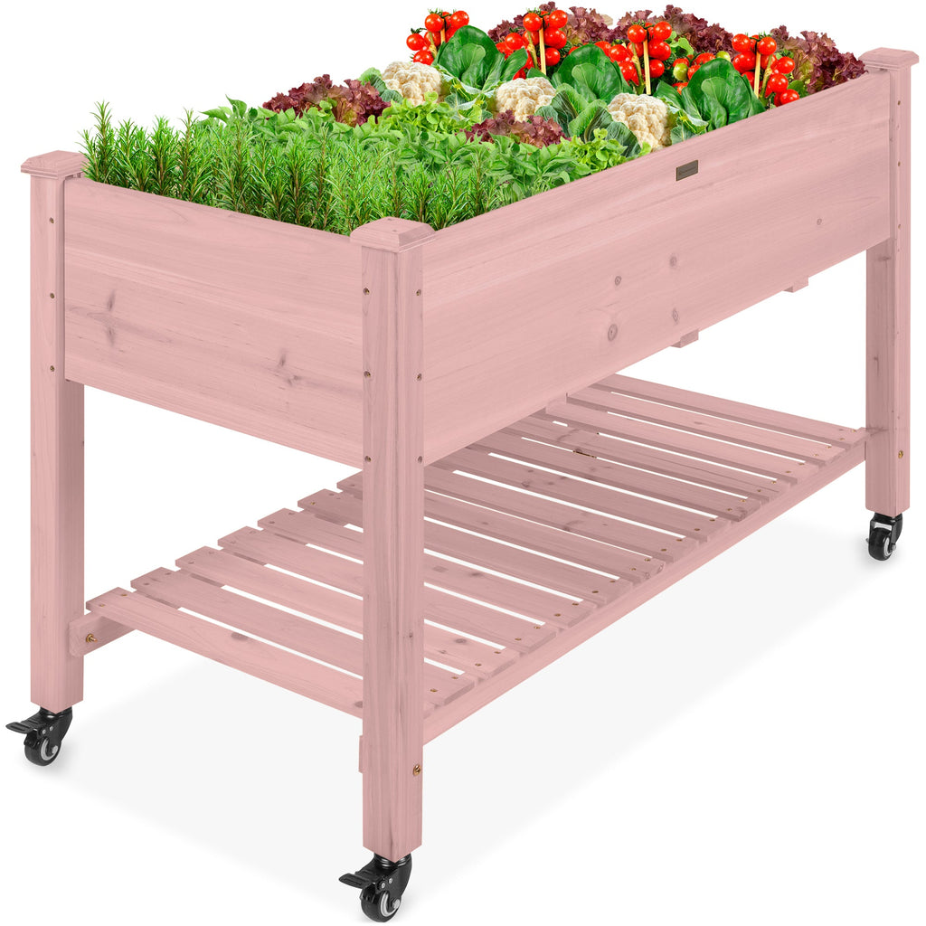 Mobile Raised Garden Bed Elevated Planter w/ Wheels Shelf - 48x24x32in