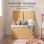 Large Storage Basket w/ Separate Lid Washable Sectioned Liner Bag