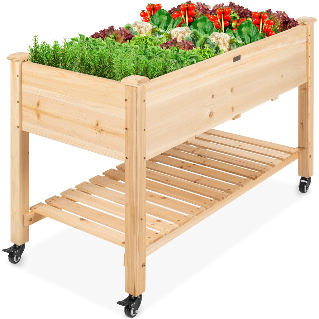 Mobile Raised Garden Bed Elevated Planter w/ Wheels Shelf - 48x24x32in