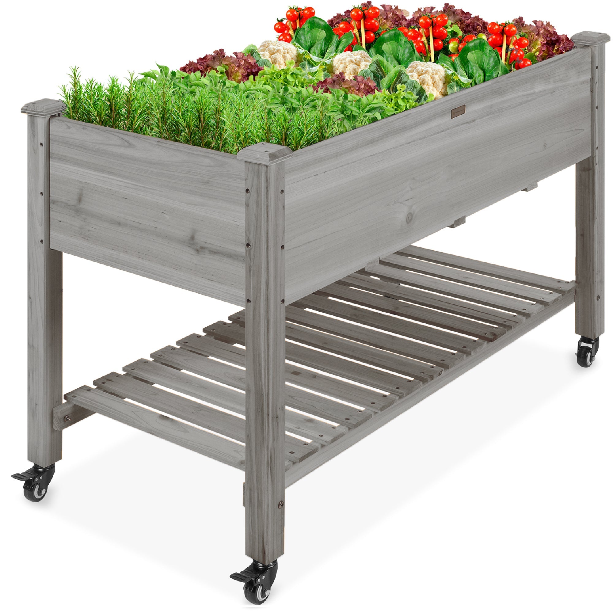Mobile Raised Garden Bed Elevated Planter w/ Wheels Shelf - 48x24x32in