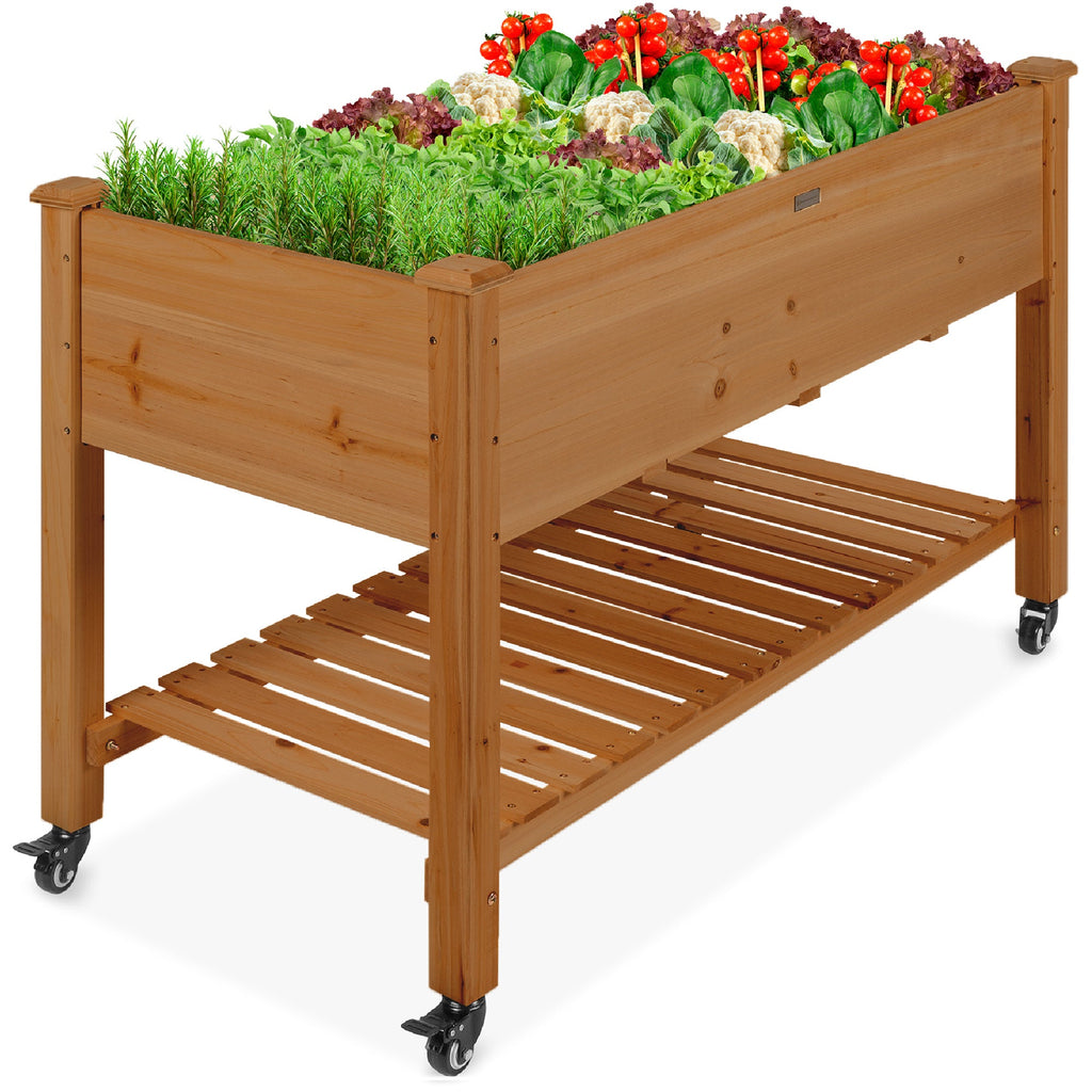 Mobile Raised Garden Bed Elevated Planter w/ Wheels Shelf - 48x24x32in